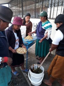 Lee más sobre el artículo Desarrollo de capacidades para la seguridad alimentaria de las familias de la comunidad Paniquindra